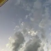 ぽんずの画像