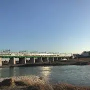 umbellataの画像