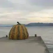 みかん　必ずプロフお読み下さい♪＾＾の画像