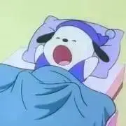 coaの画像