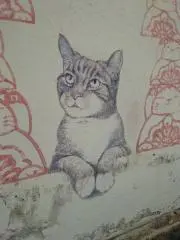 Sinmetの画像