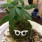 ひでちよの画像
