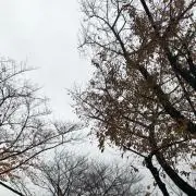 鉄くんの画像