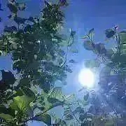 Rittanの画像