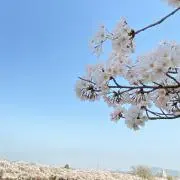 激安販売マンの画像