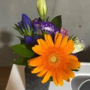 白米の画像