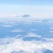 F/STKSRの画像