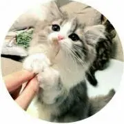 まみっち´ω`*☆