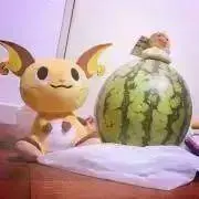 locoの画像