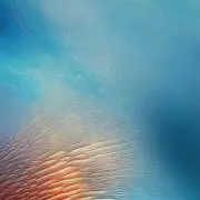 ぱたの画像