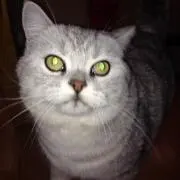 てっちゃんの画像