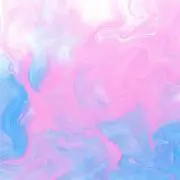 Ririの画像