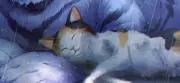 Danの画像
