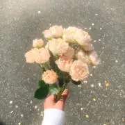 はち✔プロフ必読の画像