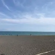 bu