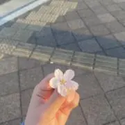 saraの画像