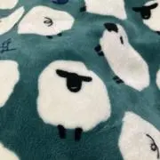 megmyの画像