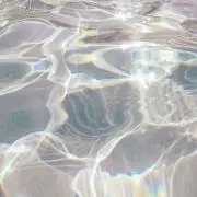 rrの画像