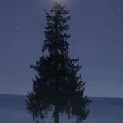 やまの画像