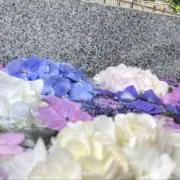 amiii9762の画像