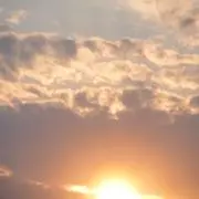 meruの画像