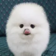 荒川の画像