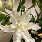 ⭐︎ユウ⭐︎