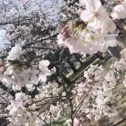 この画像