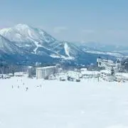 えじの画像