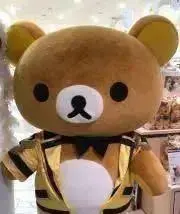 りーちゃんの画像