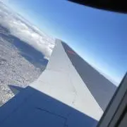 ならずけの画像