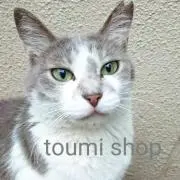 とうみの画像