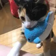 スーパーこうじ☆
