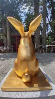 五月うさぎの画像