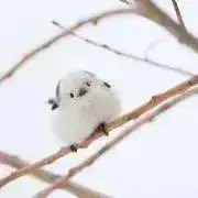 ぬん【まとめ売り歓迎】