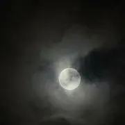 ナナの画像