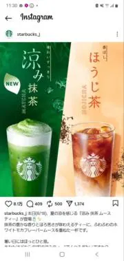 たぬき