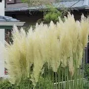 road2021の画像