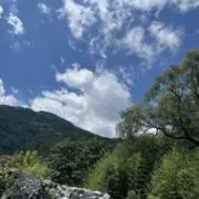Senaの画像