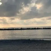 ココの画像