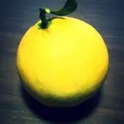 おみかんの画像