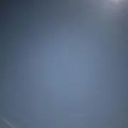 さかなさんの画像