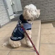 tentenの画像
