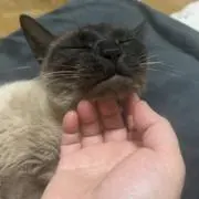 ❤️YYY❤️