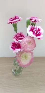 うっちーの画像