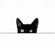 nyaaaの画像