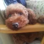 のかママ