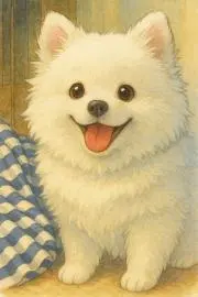 茶路の画像