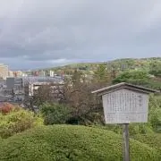 まめの画像