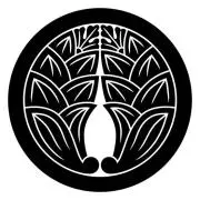 まこ